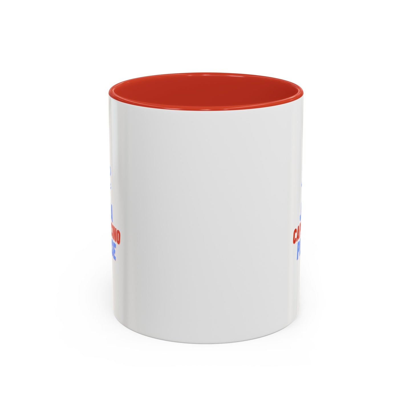 Geek - Programmer mug, JAVA Cappuccino mug, two toned mug